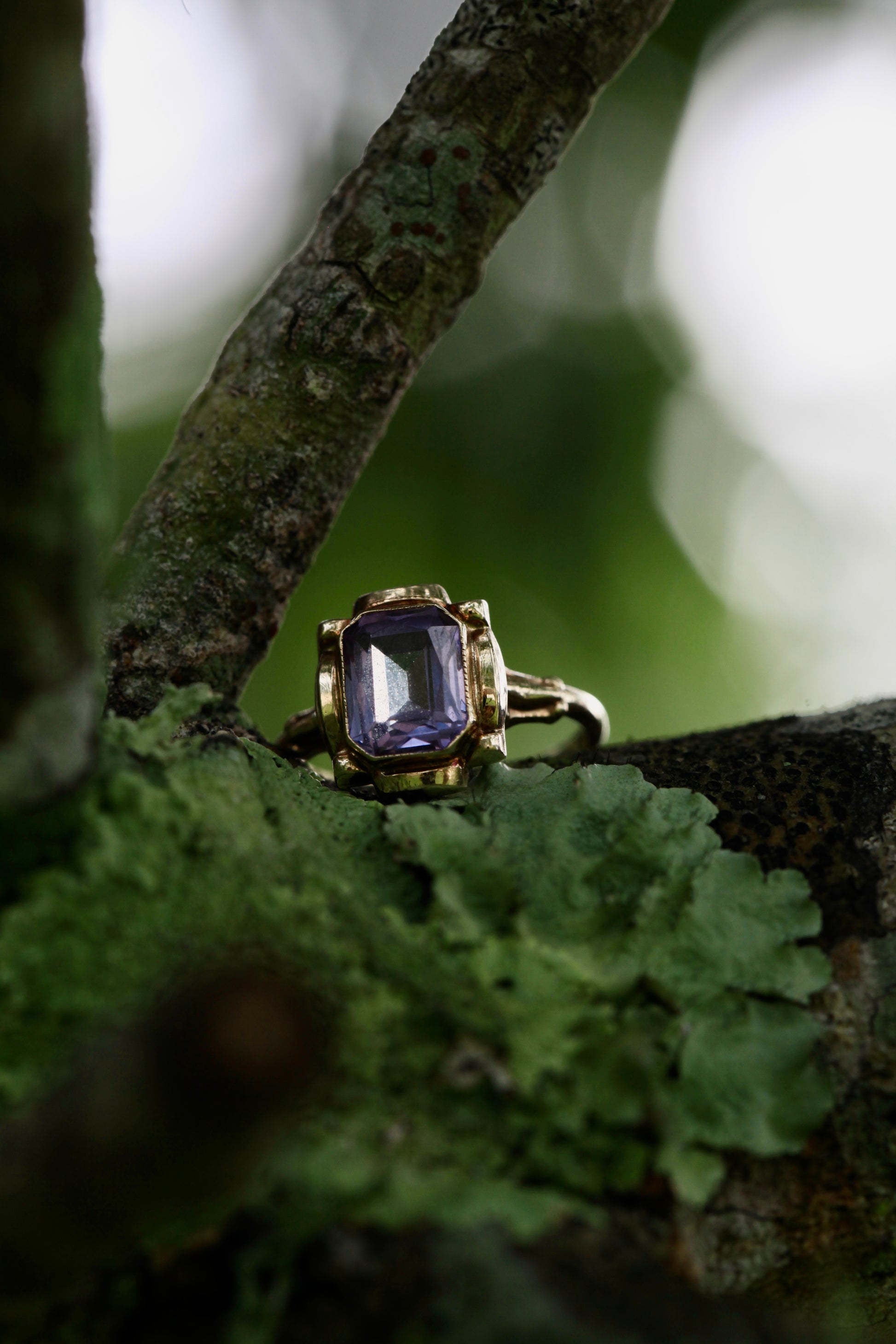 Vintage 10K yellow gold ring with an emerald-cut lavender amethyst, displayed on a tree branch with green moss and leaves in the background.