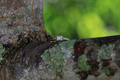 1930s Art Deco ArtCarved 14K two-tone diamond ring with old European cut, photographed on tree branch with green background