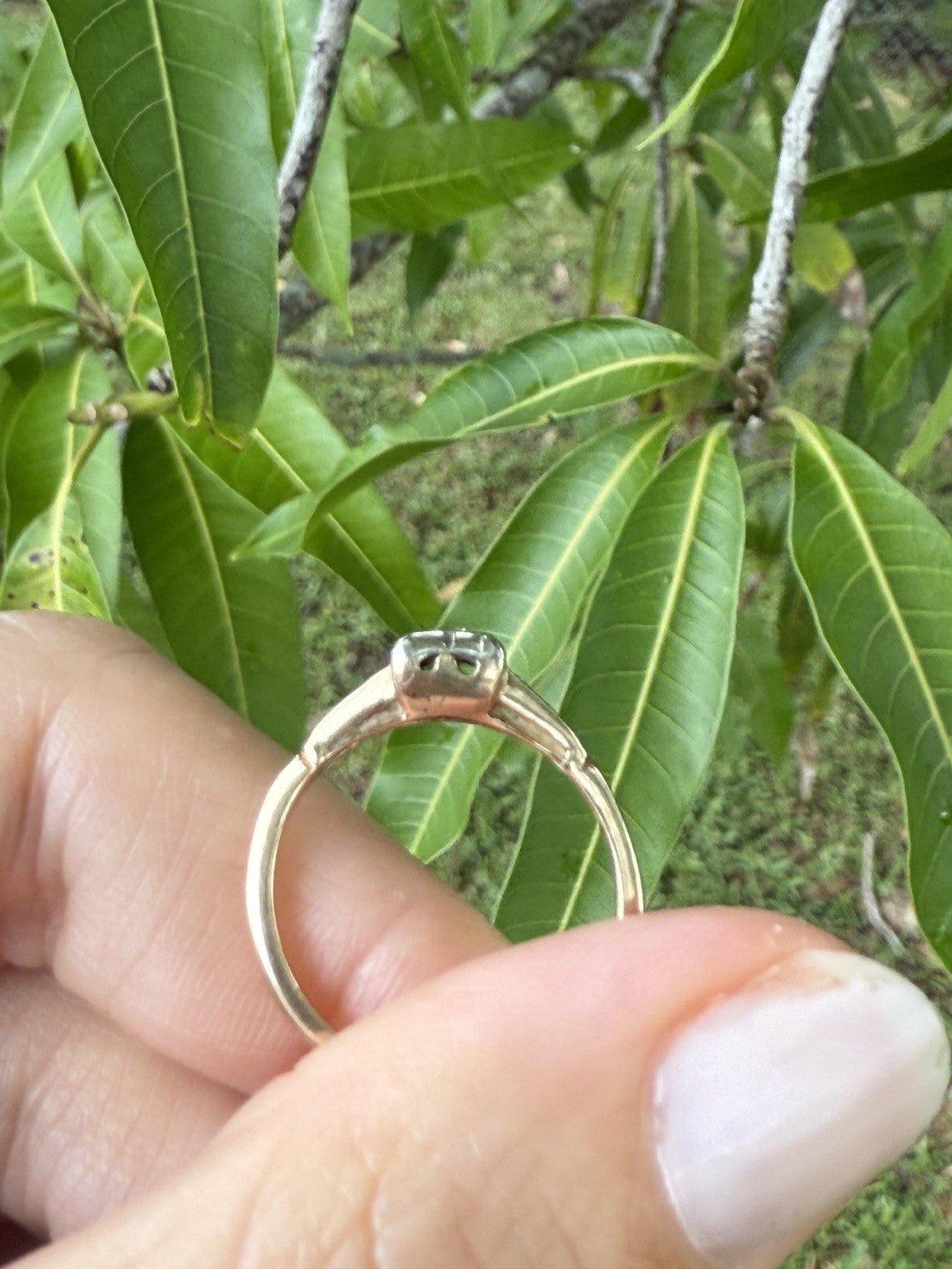 Side view of 1930s Art Deco ArtCarved 14K two-tone diamond ring with illusion head, shown outdoors with leaves in background