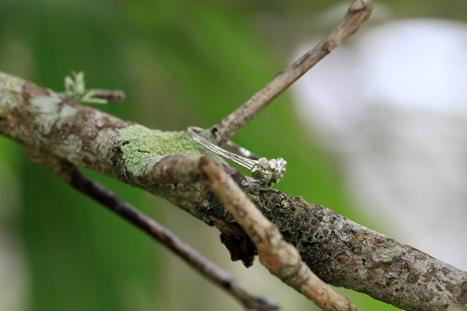 1950s vintage 10K white gold illusion marquise diamond twig band ring displayed on mossy branch with blurred green background