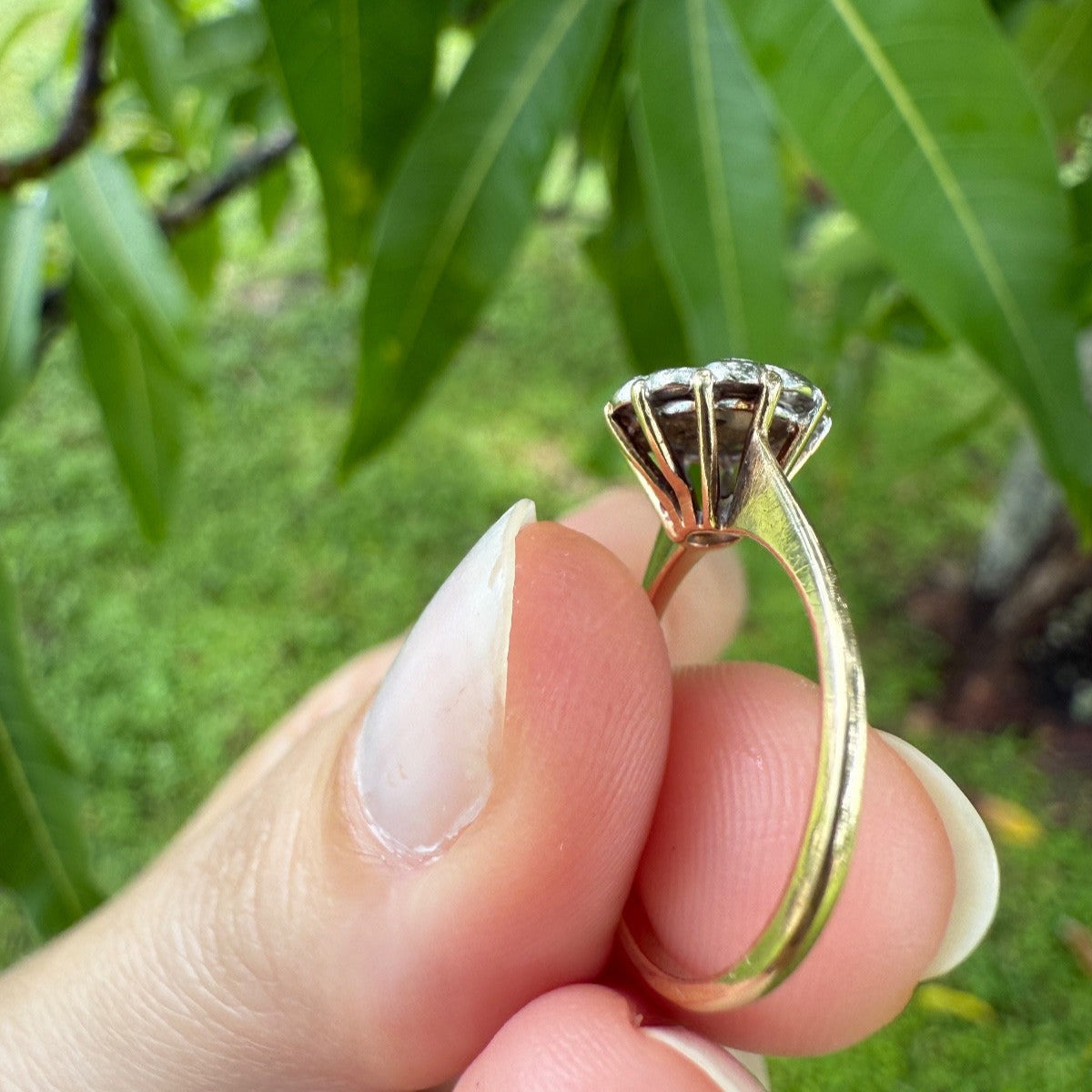 Side profile of 1950s vintage 10K gold diamond illusion cluster ring with ornate basket setting, held between fingers against leafy green background.