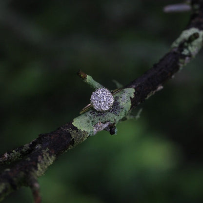 1950s vintage 10K gold diamond illusion cluster ring with flower motif, photographed on mossy branch with blurred green forest background.