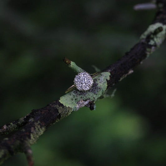 1950s vintage 10K gold diamond illusion cluster ring with flower motif, photographed on mossy branch with blurred green forest background.