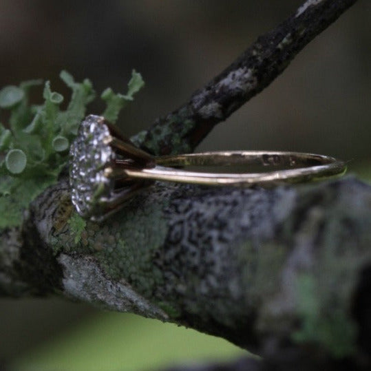 1950s vintage 10K gold diamond illusion cluster ring side view, resting on mossy tree branch with blurred green forest background.
