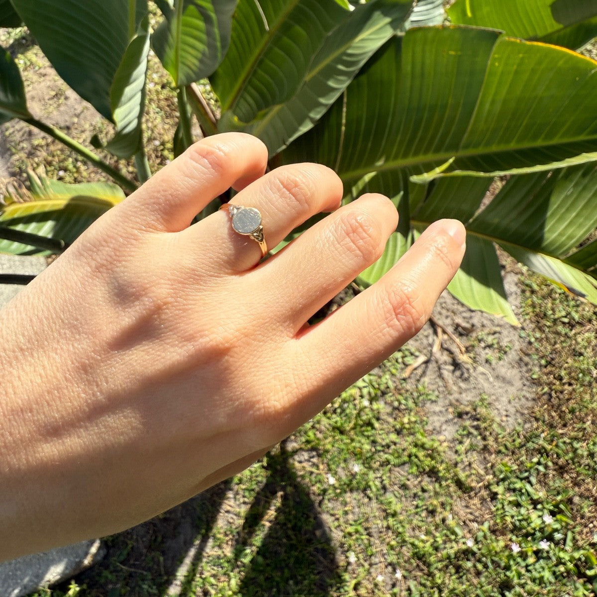 Hand wearing an antique Edwardian 14K gold oval signet ring against a green leafy background