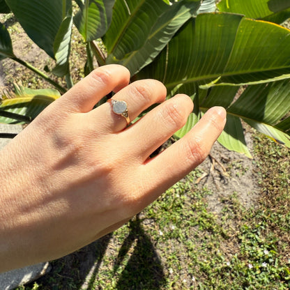 Hand wearing an antique Edwardian 14K gold oval signet ring against a green leafy background