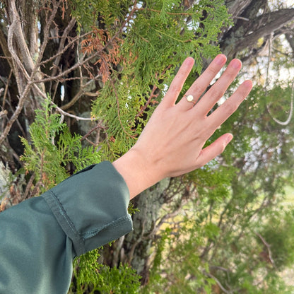 Antique Edwardian 14K gold oval signet ring worn on hand outdoors against evergreen foliage